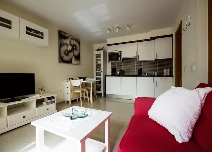 Book Jet - Hibiscus Front 科斯塔卡玛